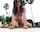 mfc myfreecams