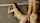 What's the name of this porn star?