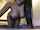 nude babes ebony