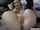 solo masturbation blonde
