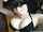 amateur brunette goth