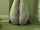 amateur cam camgirl