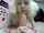 cosplay cam blowjob