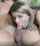 blonde amateur blowjob