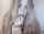myfreecams longhair female