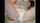 cam amateur camgirl