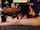 camgirl chaturbate webcam