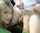 blonde teen blowjob