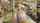 cam camgirl amateur