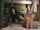 amateur doggystyle teen