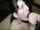 oral amateur bbc