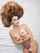 cam milf camgirl