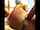 webcam camgirl ebony