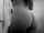 jav white tall