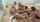 girlsplayinginsoap bikini girls bathroomshower