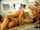 gangbang blonde rock