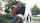 public sex brunette public