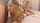 blowjob lingerie pornstar