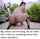 pov cosplay riding