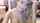 blond gorgeous camgirl