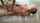 skinny masturbation massage