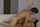 big tits cum kiss brunette