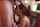 blowjob deepthroat kitchen