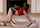 riley reid sexy yoga