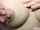 lactating breast milk