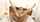 blond blonde anal