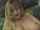 blond tits xxx