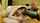 mfc chaturbate cam
