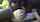 interracial amateur black