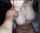 amateur camgirl picture