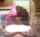 topless censored amateur