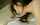 meme asian brown hair