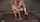 milf bondage doggy
