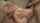 ass threesome jav