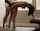 milf doggy sex