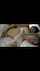 bed fingering blonde