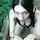 black hair public blowjob