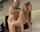 teen old fuck