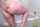 cam big ass camgirl