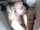 cam camgirl blonde
