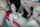 chaturbate camgirl gangbang