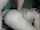 amateur webcam teen