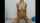 dildo asian moaning