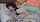 camgirl amateur anal
