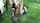facial teen camgirl