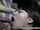teen puta locura brunette